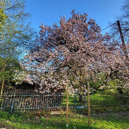 Bergischer Hof - Bergischer Hofgarten 温德克 外观 照片